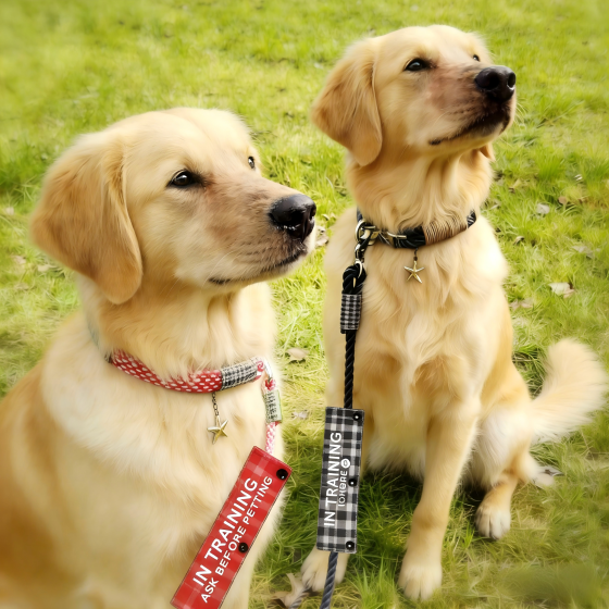 Customizable ，Humorous Dog Leash Sleeve in Training Ignore, Fun Dog Leash Wrap